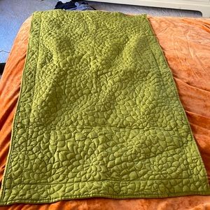 2 King Euro Shams Only NWOT